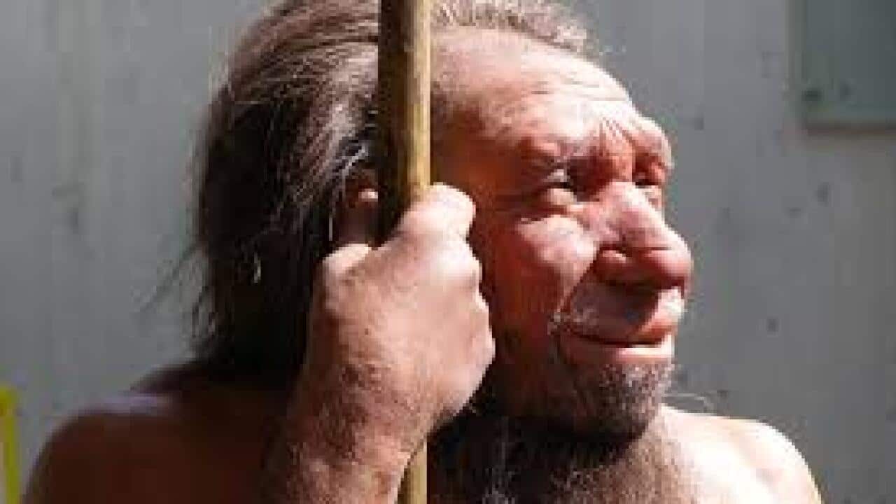 Neanderthal man