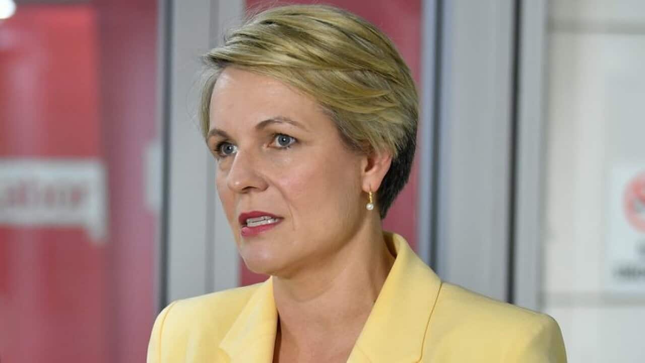 Tanya Plibersek