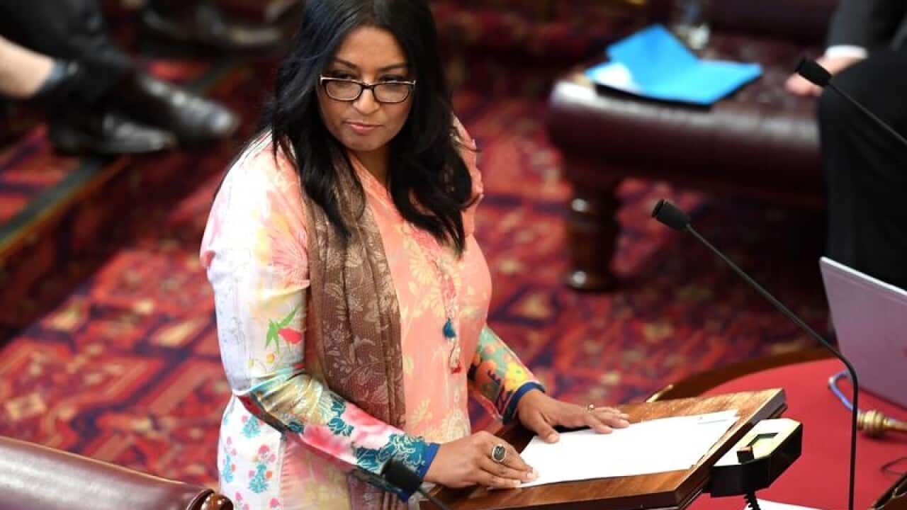 The Greens Mehreen Faruqi in the NSW Parliament.