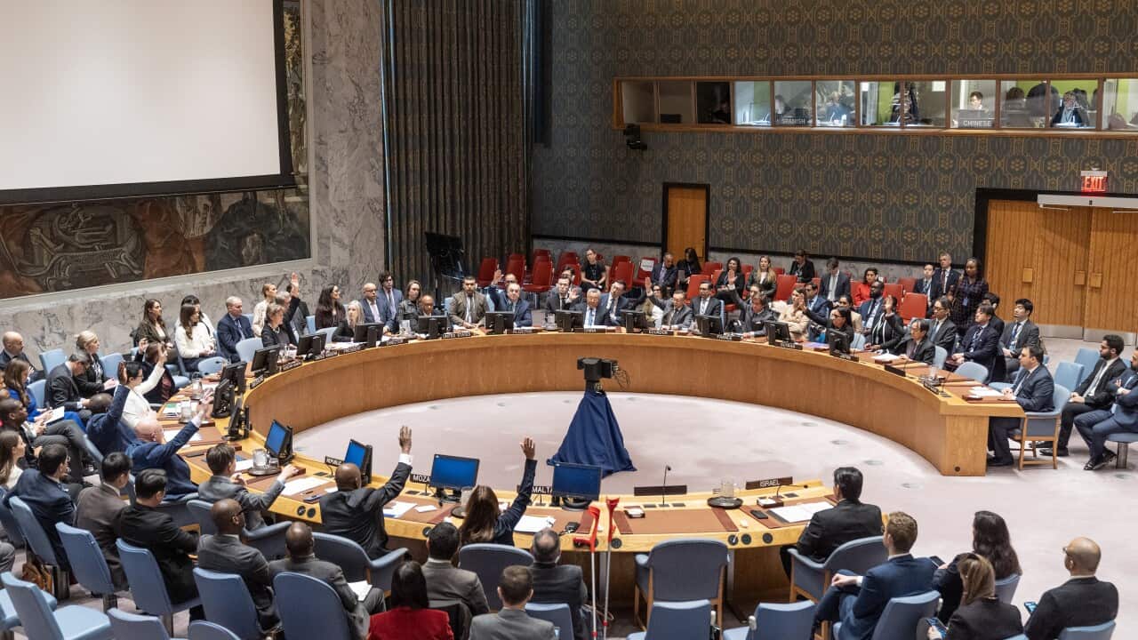Security Council vote on a draft resolution on the war in Gaza