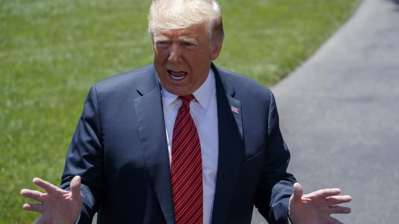 Donald Trump addresses the media on the White House lawn