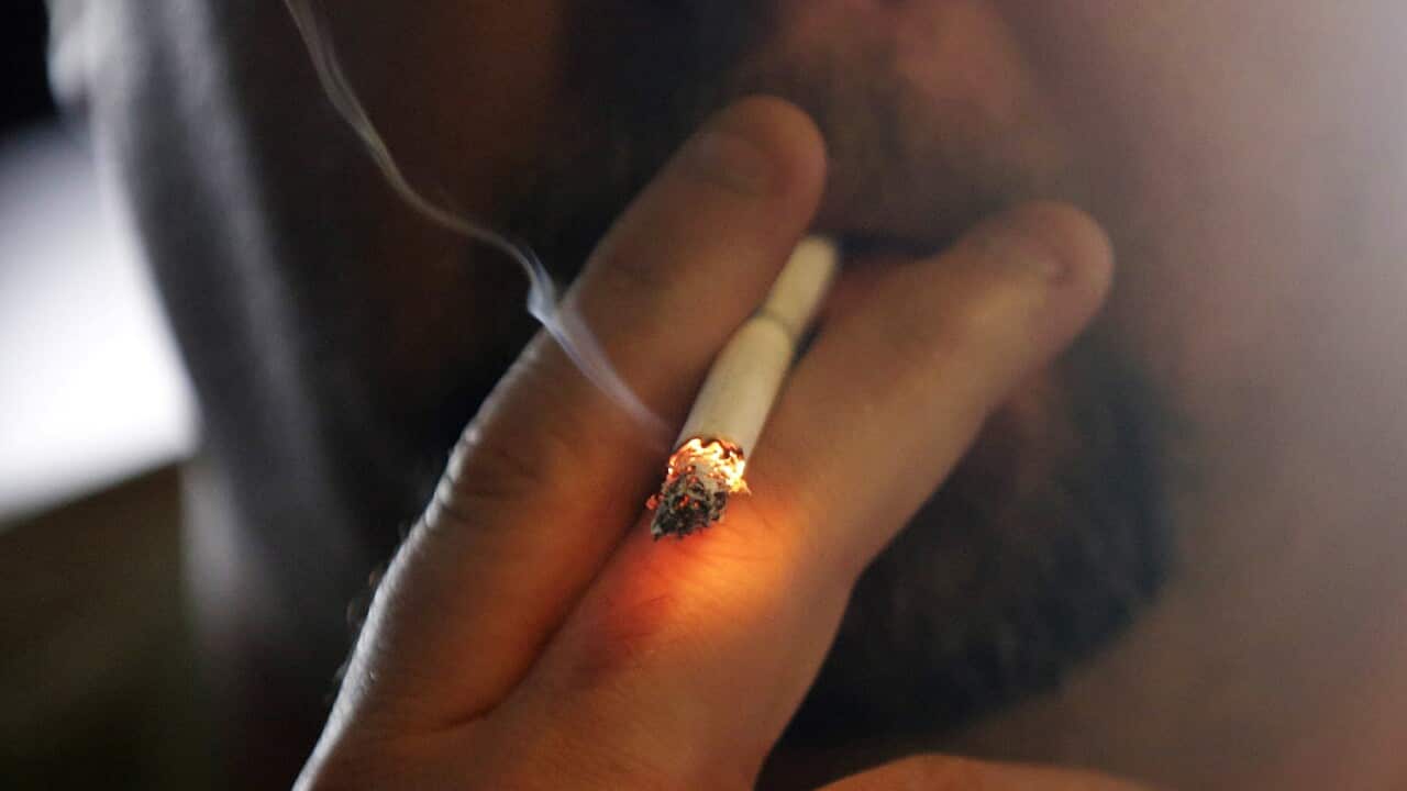 Smoking heightens the risk of 12 cancer types