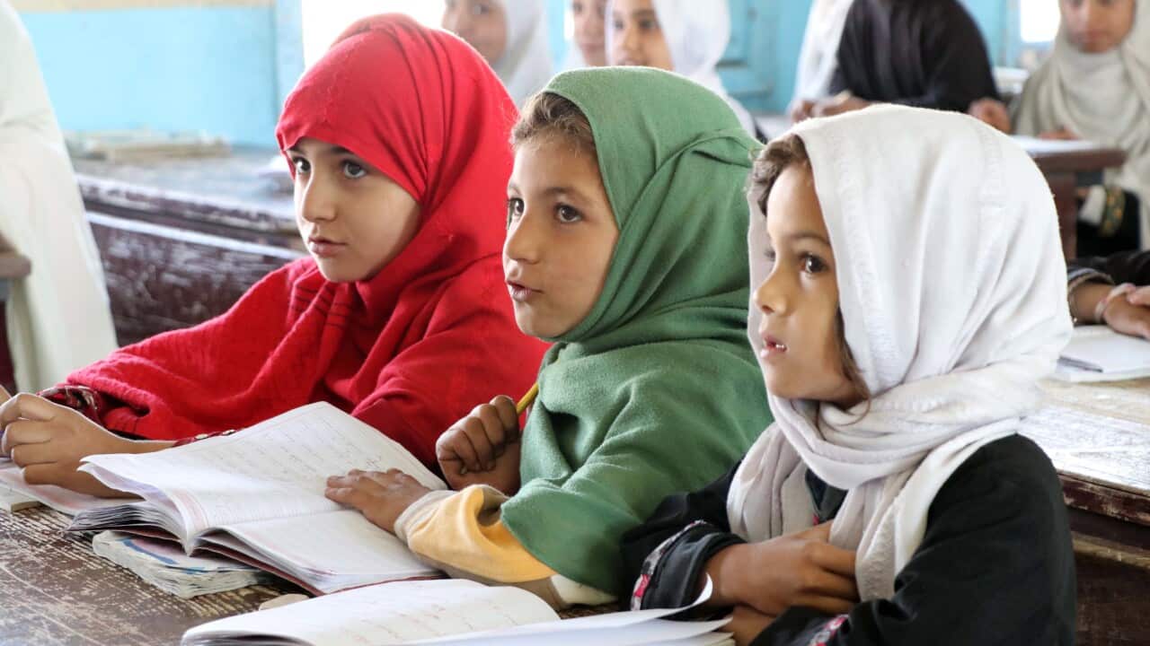 Image for read more article 'Read more'