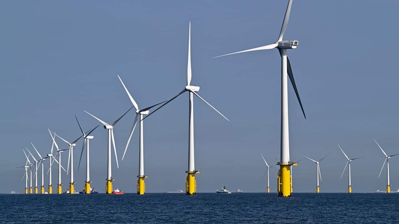 Wind farm