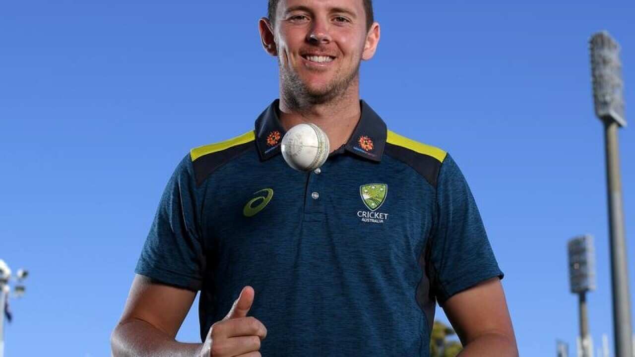 Australian Test cricketer Josh Hazelwood