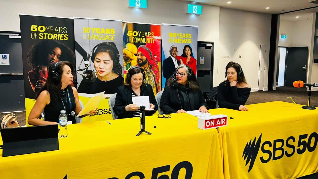 WhatsApp Image 2025-11-14 at 5.13.39 PM.jpeg