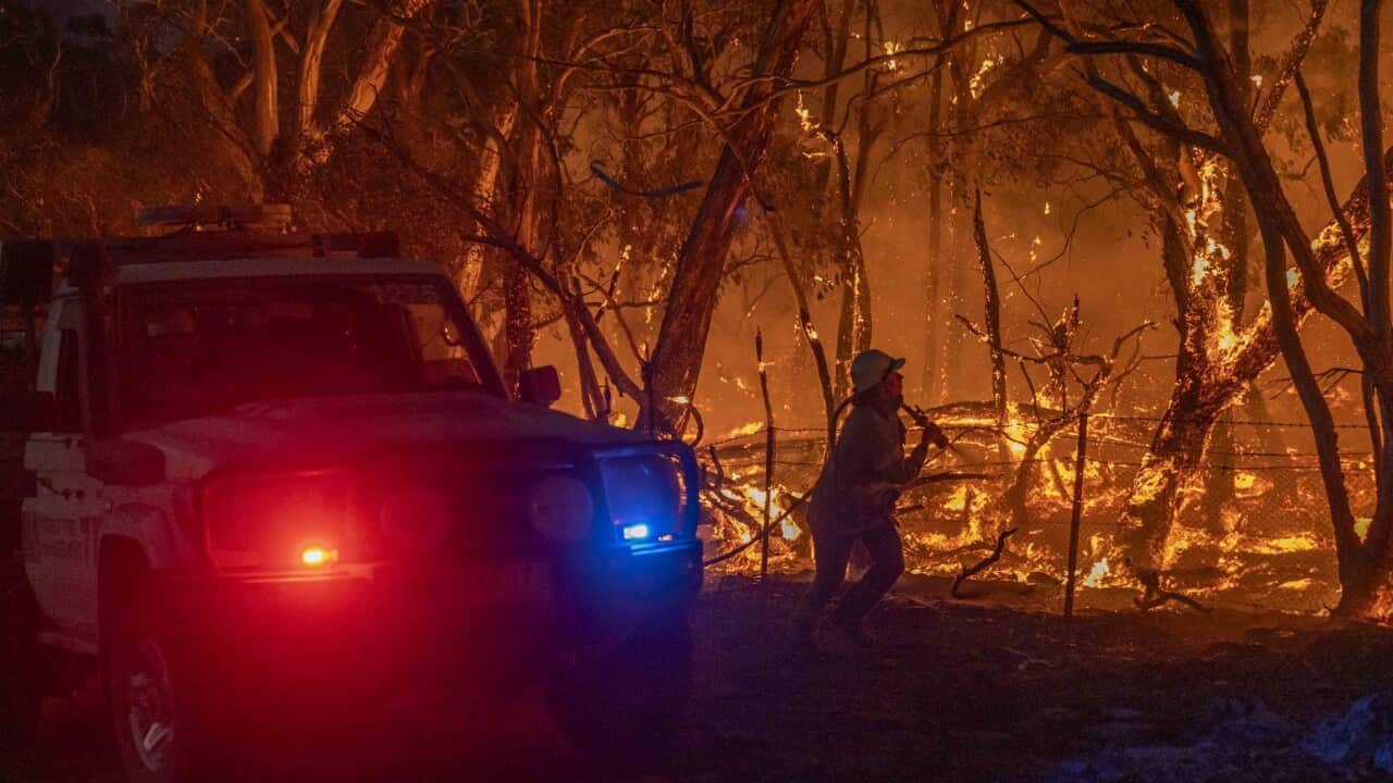 Image for read more article 'READ MORE'