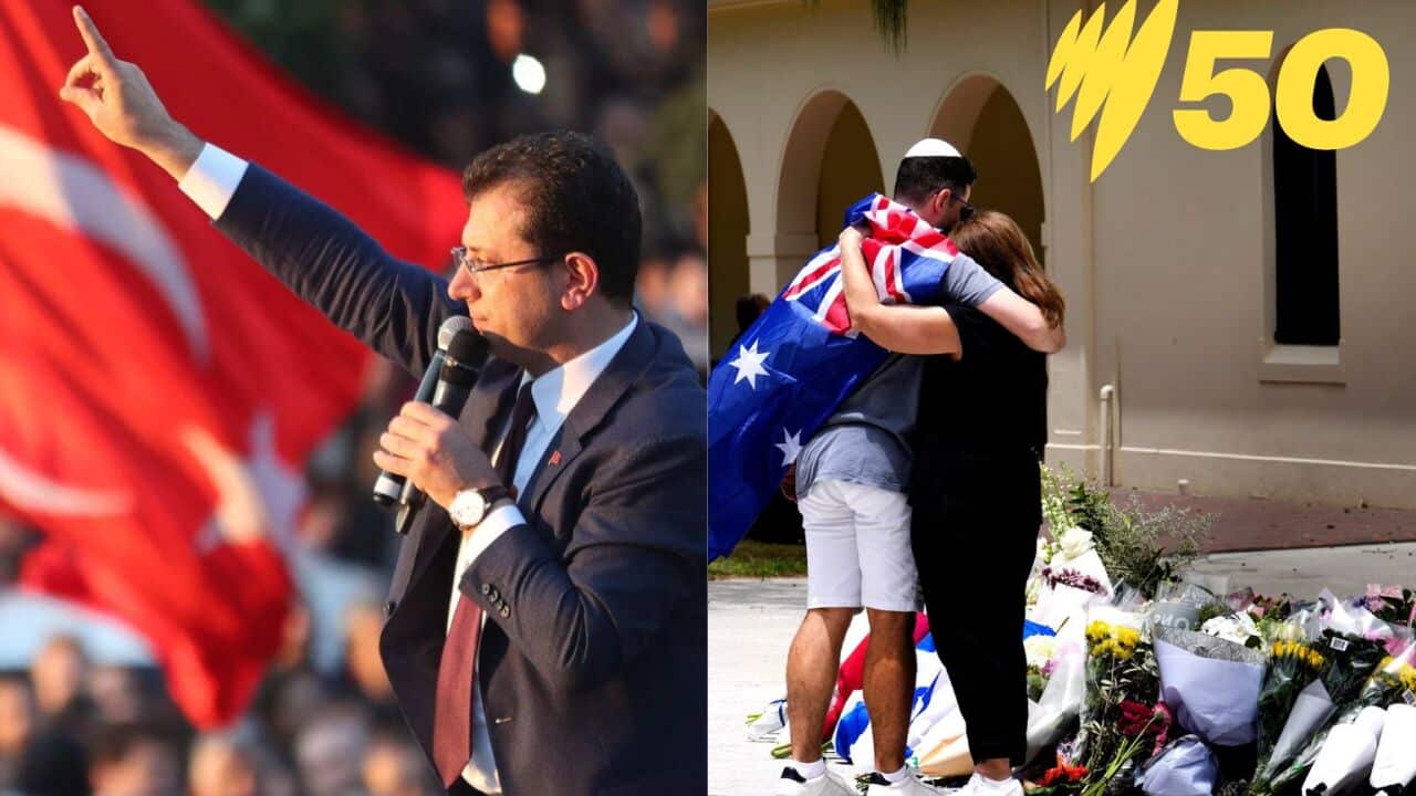 Untitled design (1).jpg