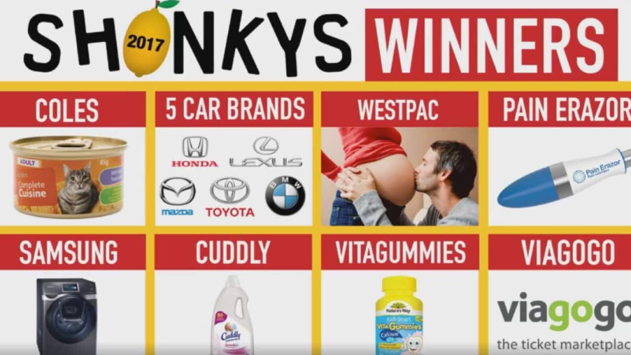 shonkys