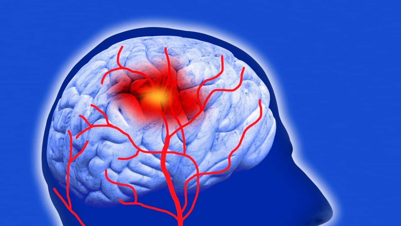 Image for read more article ''