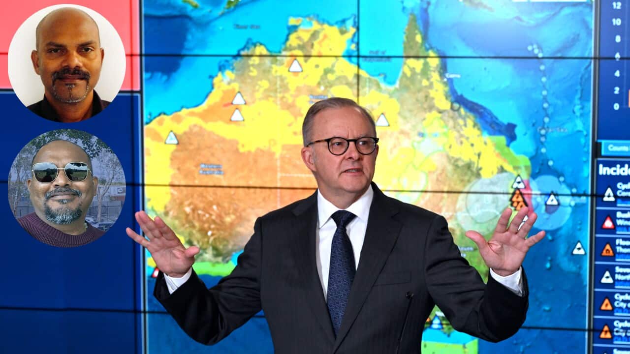 ANTHONY ALBANESE CYCLONE ALFRED PRESSER