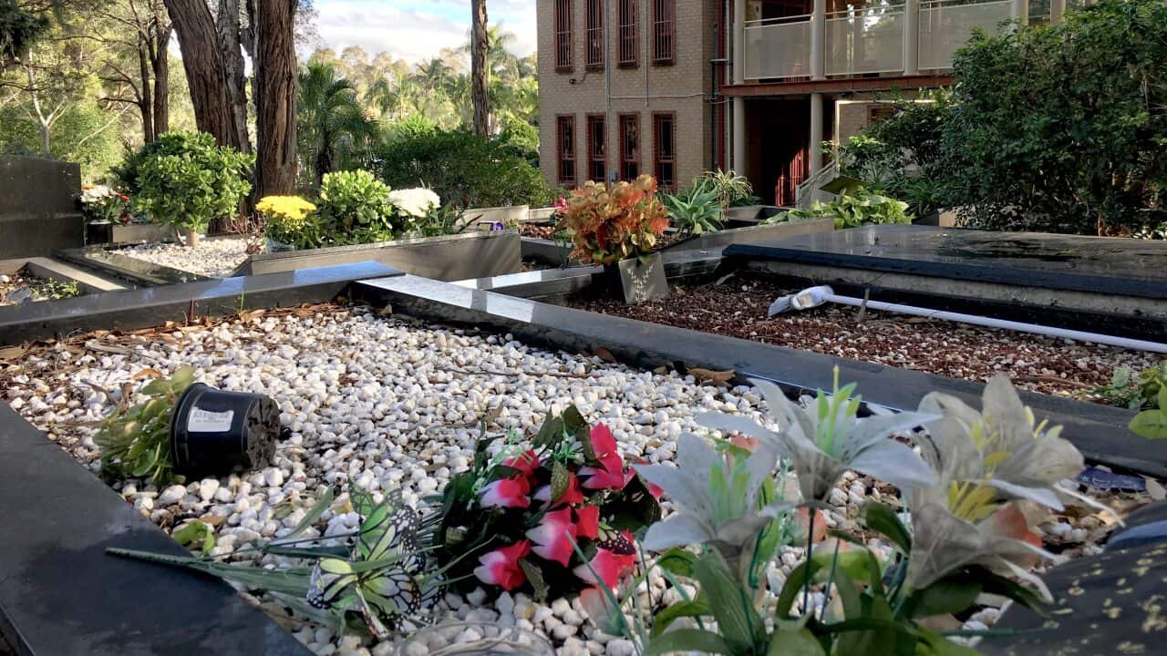 Image for read more article 'READ MORE'