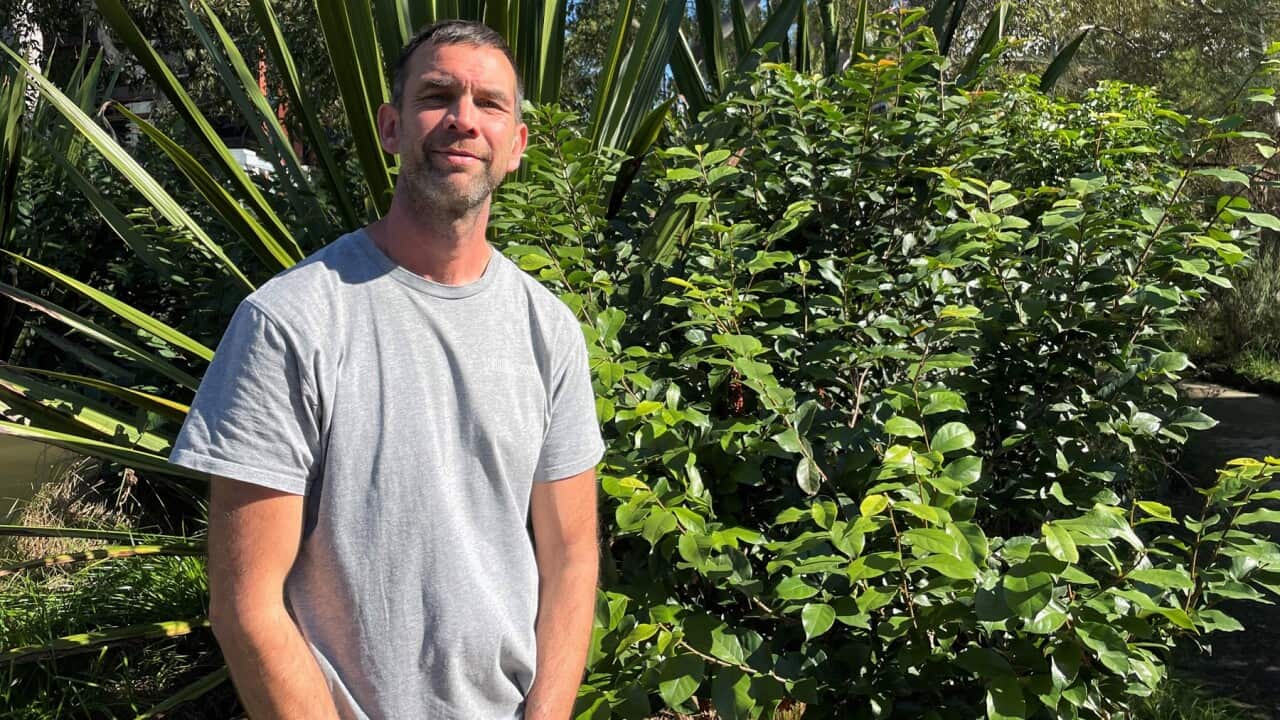 Roman Deguchi at a wildflower garden in Sydney (SBS-Sandra Fulloon).jpg