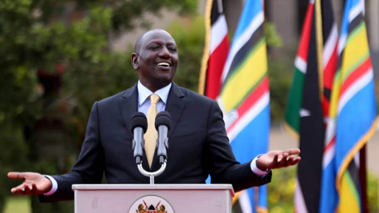 Kenyan President William Ruto .jpg