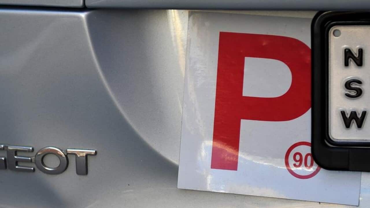 A provisional or P plate is attached to a vehicle.