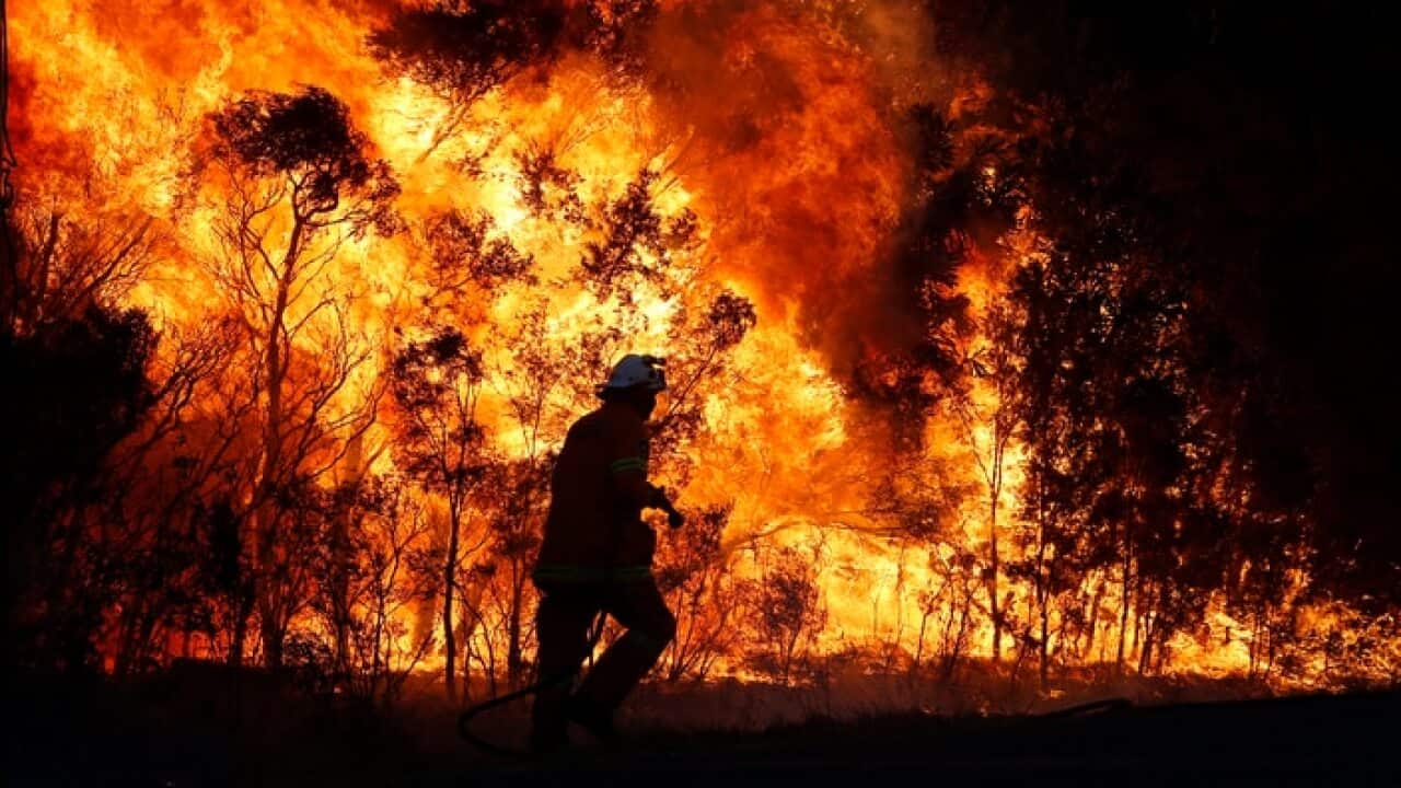 Fire crews back burn areas of bushland at Salt Ash, in the NSW Hunter region, on Sunday, August 19, 2018.