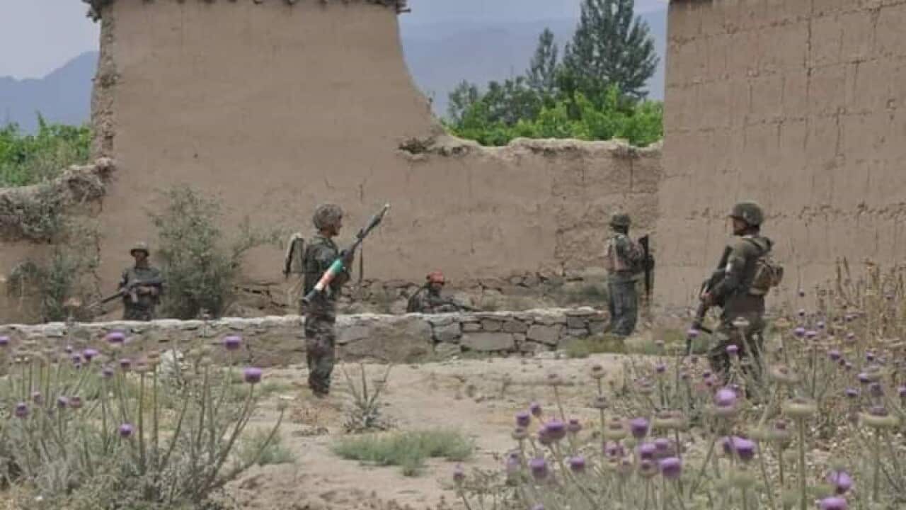 Fighting in Afghanistan