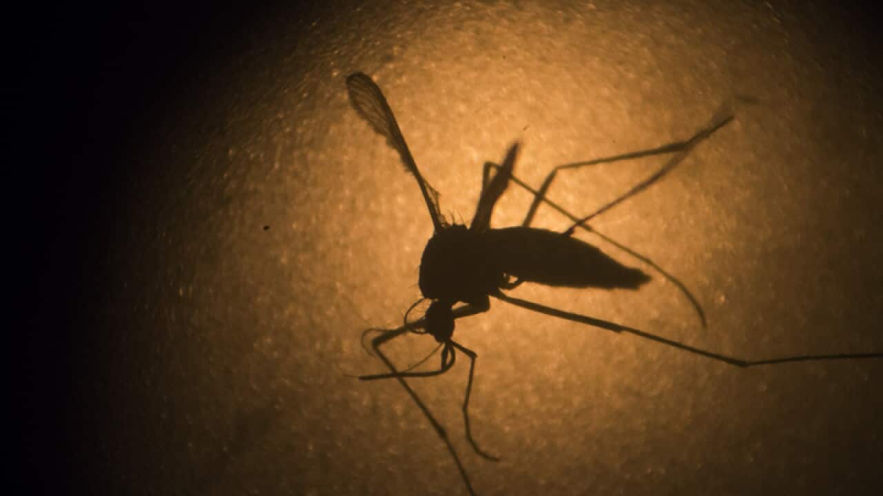 Image for read more article 'Related reading'