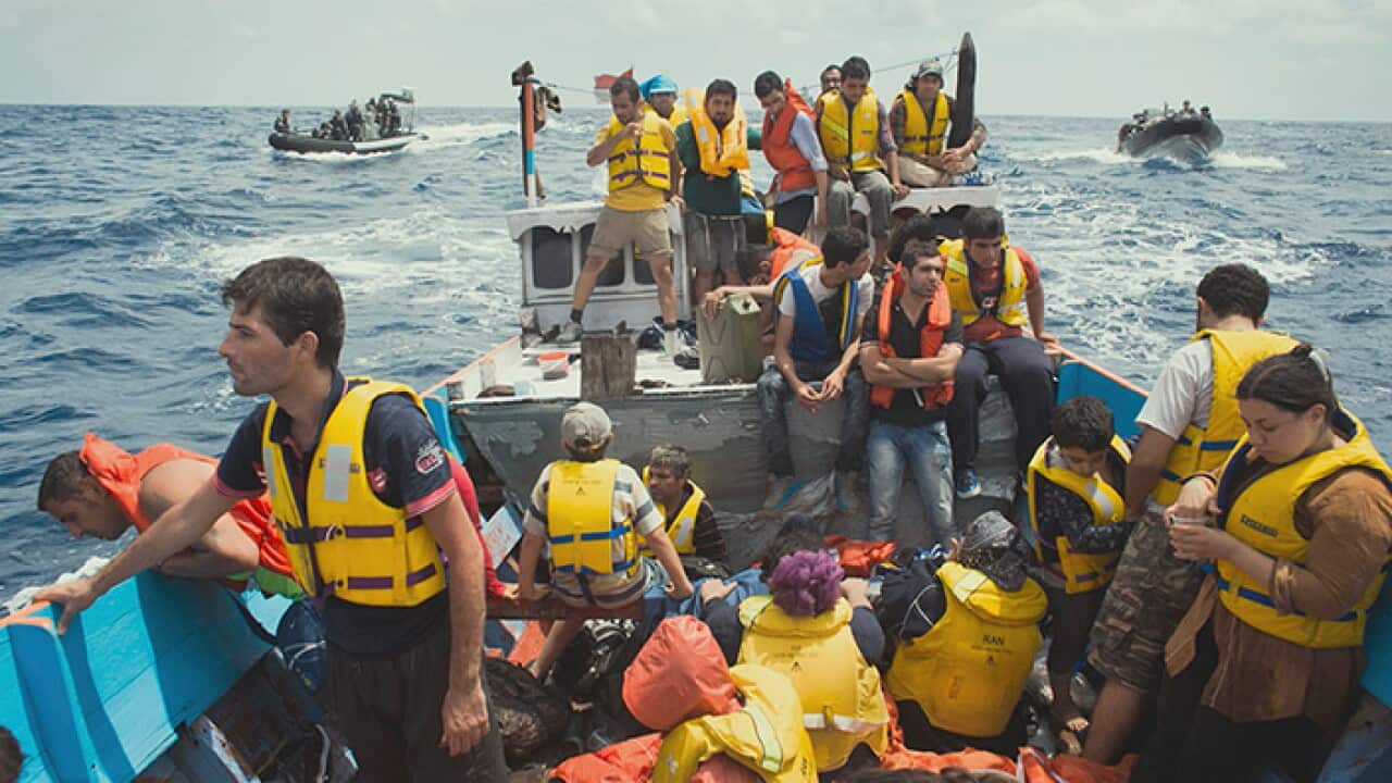 Chasing Asylum