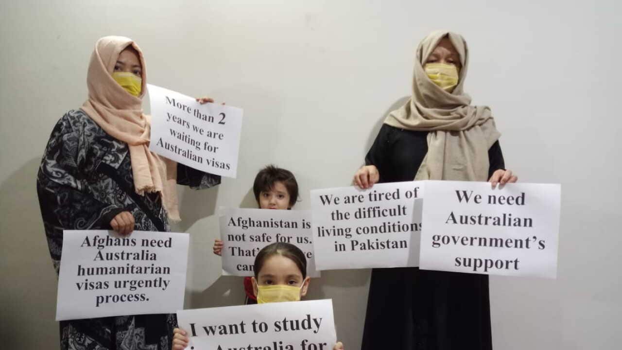 Despite Australia’s assurance, Afghans hiding in Pakistan like Ahmad fear deportation Despite Australia’s assurance, Afghans hiding in Pakistan like Ahmad fear deportation
