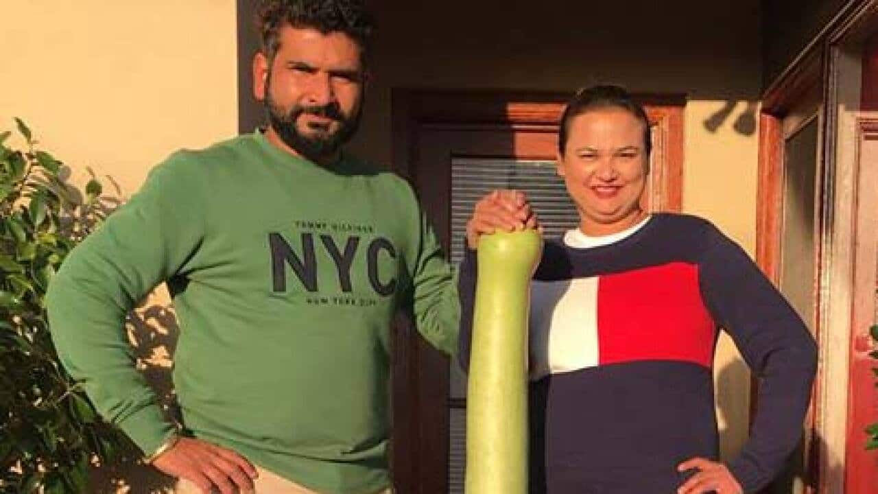 Singh's bottle-gourd