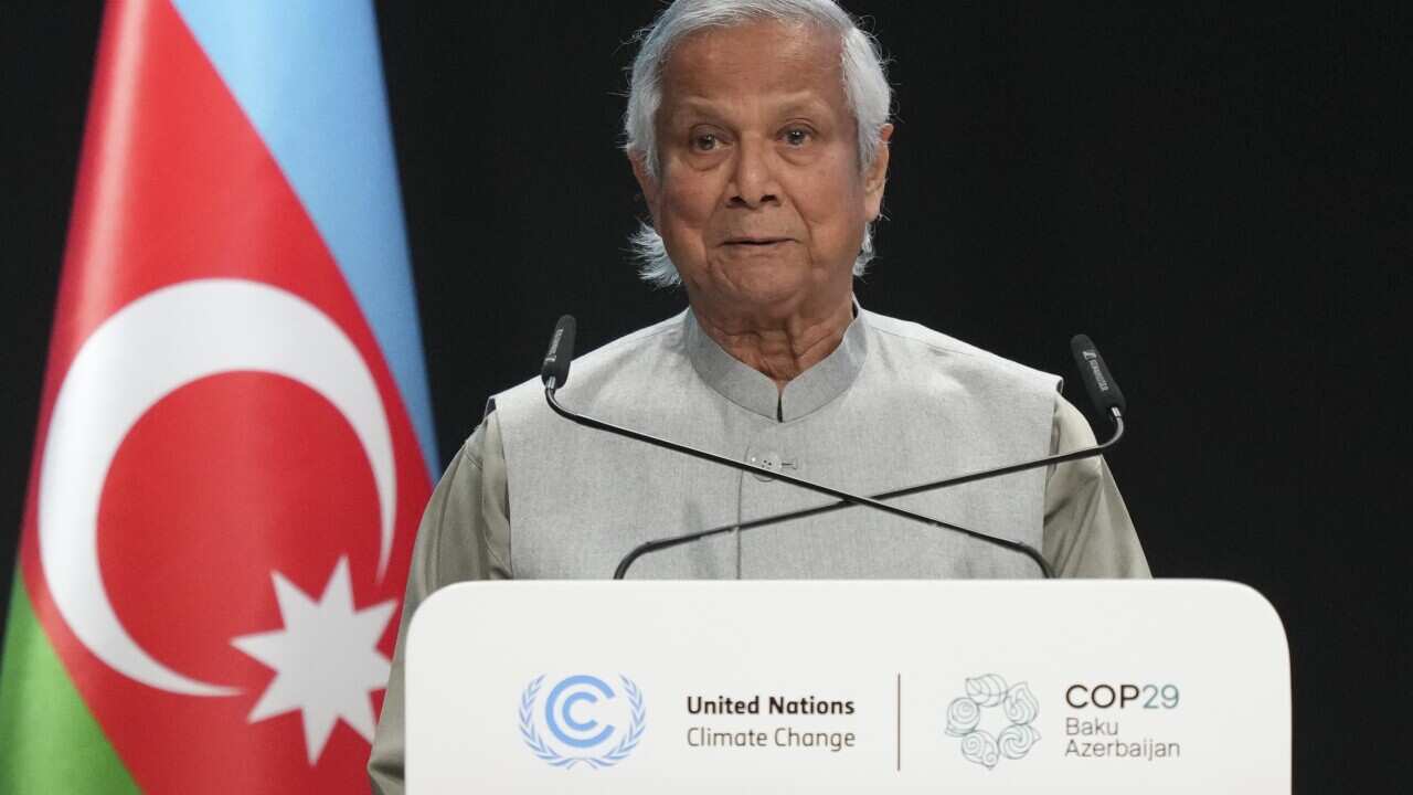 COP29 Climate Summit