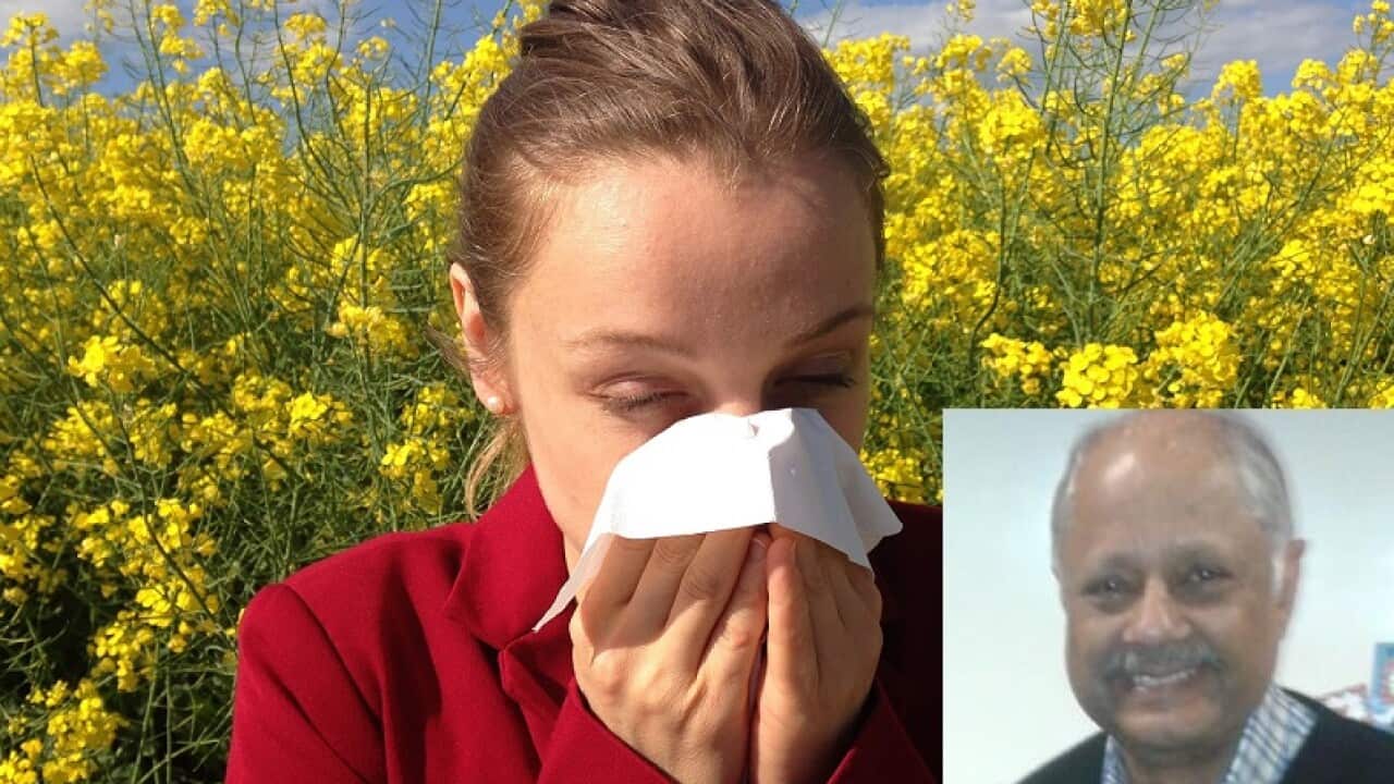 hay fever