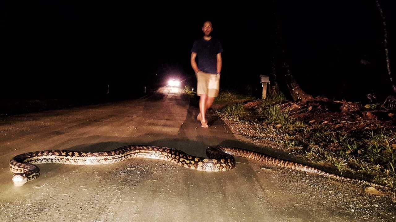 Image for read more article 'READ MORE'