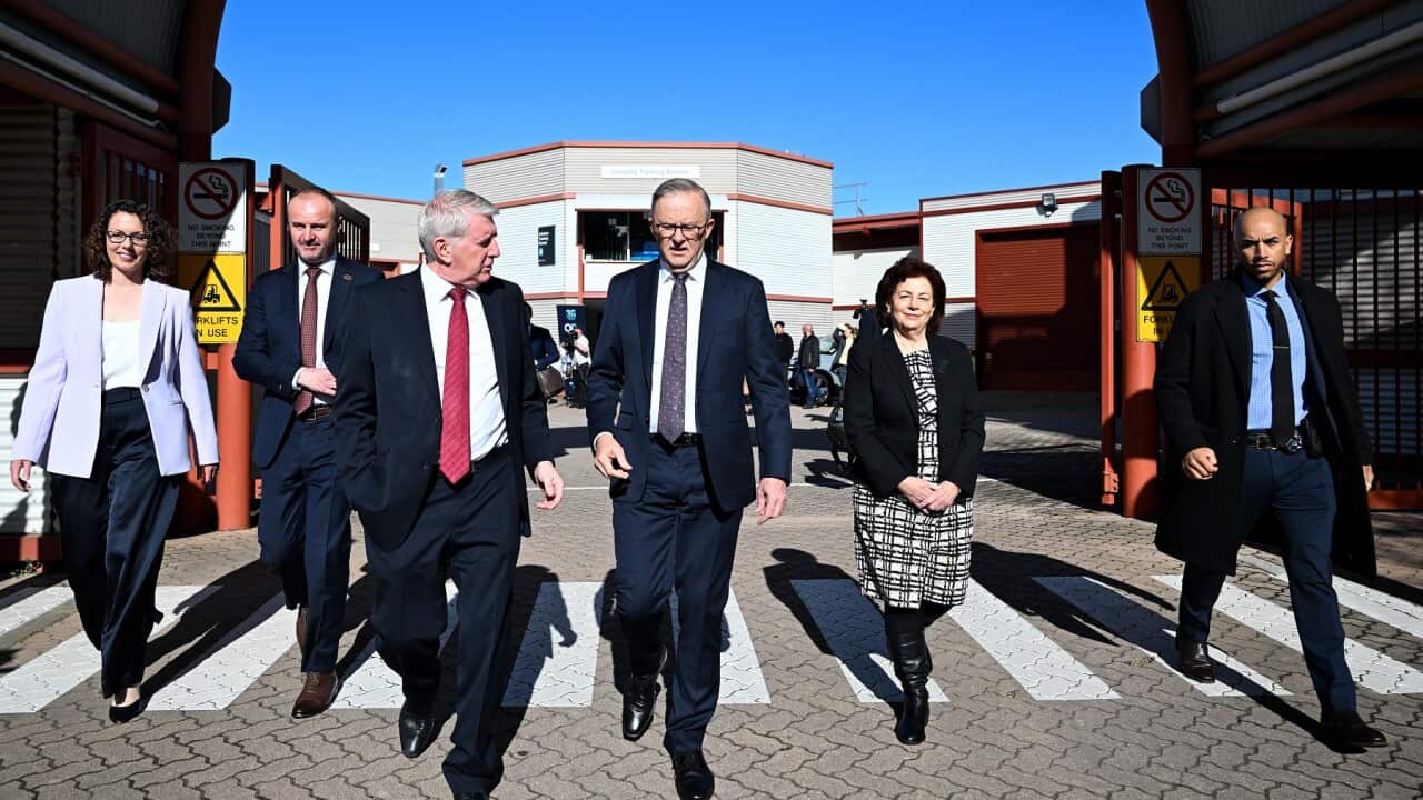 ANTHONY ALBANESE CIT VISIT