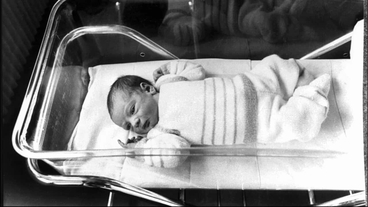 Amandine, test-tube baby, France on February 24th, 1982.