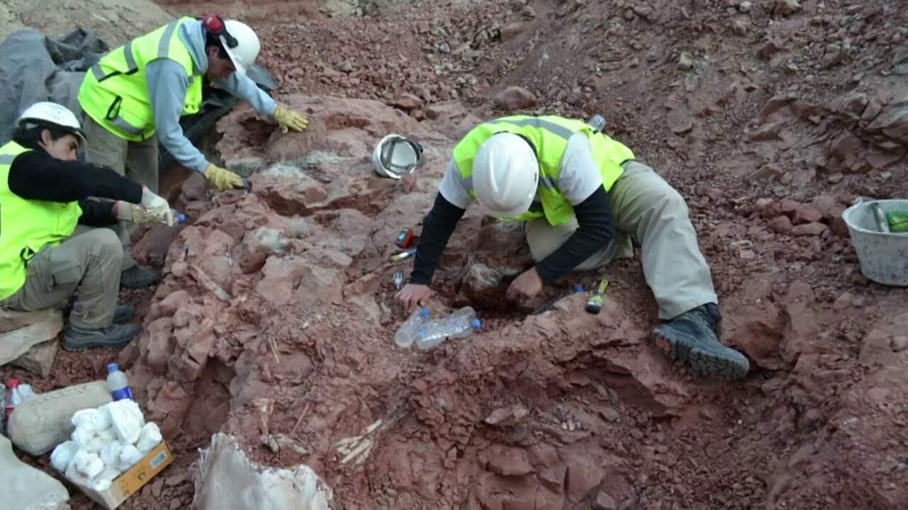 Image for read more article ''