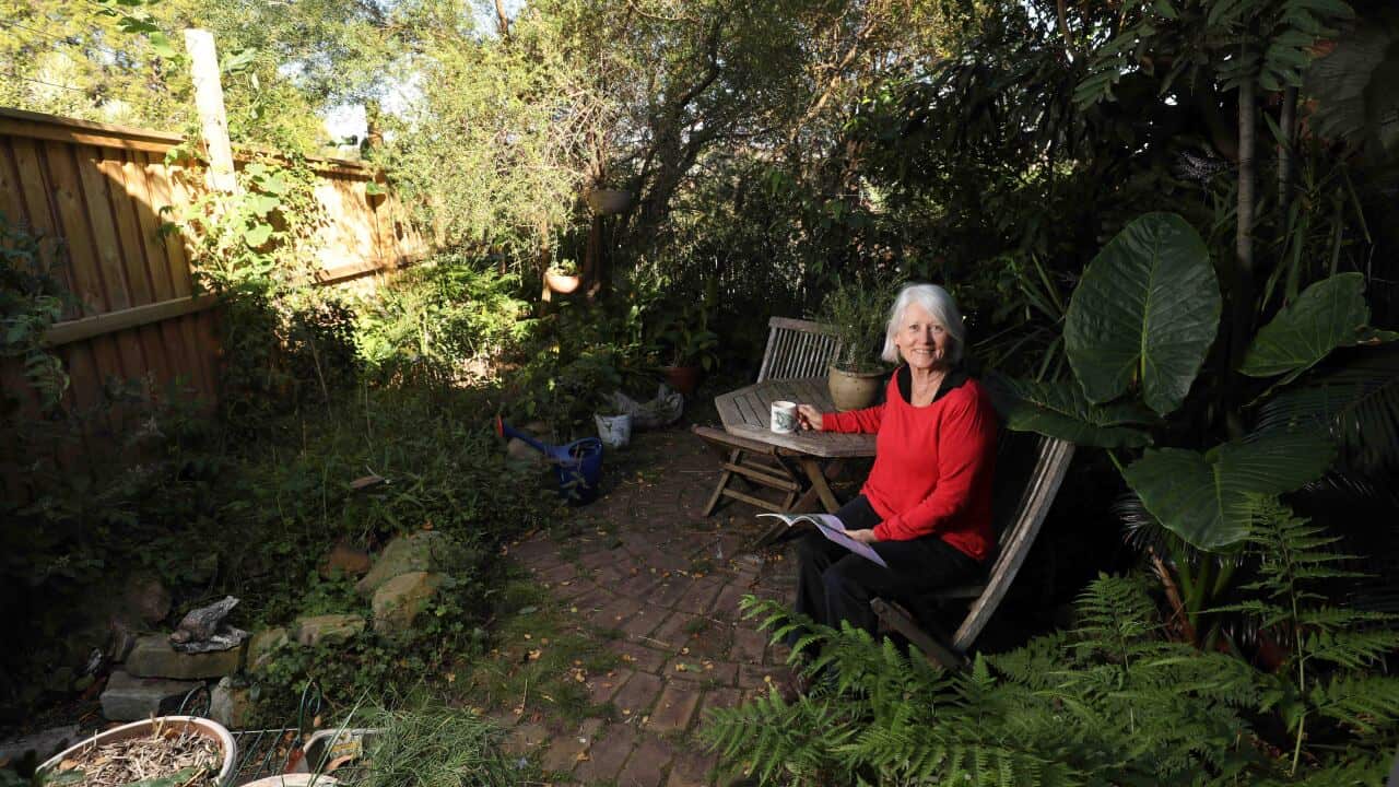 Image for read more article ''