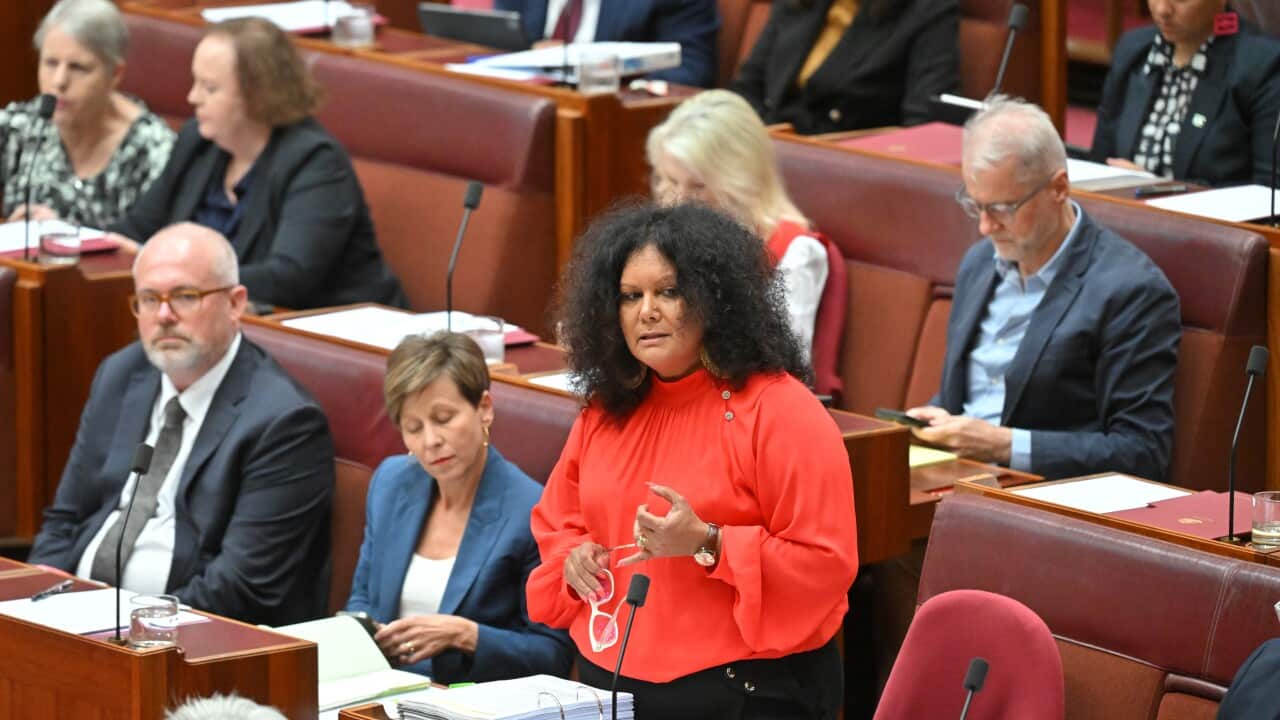 SENATE QUESTION TIME