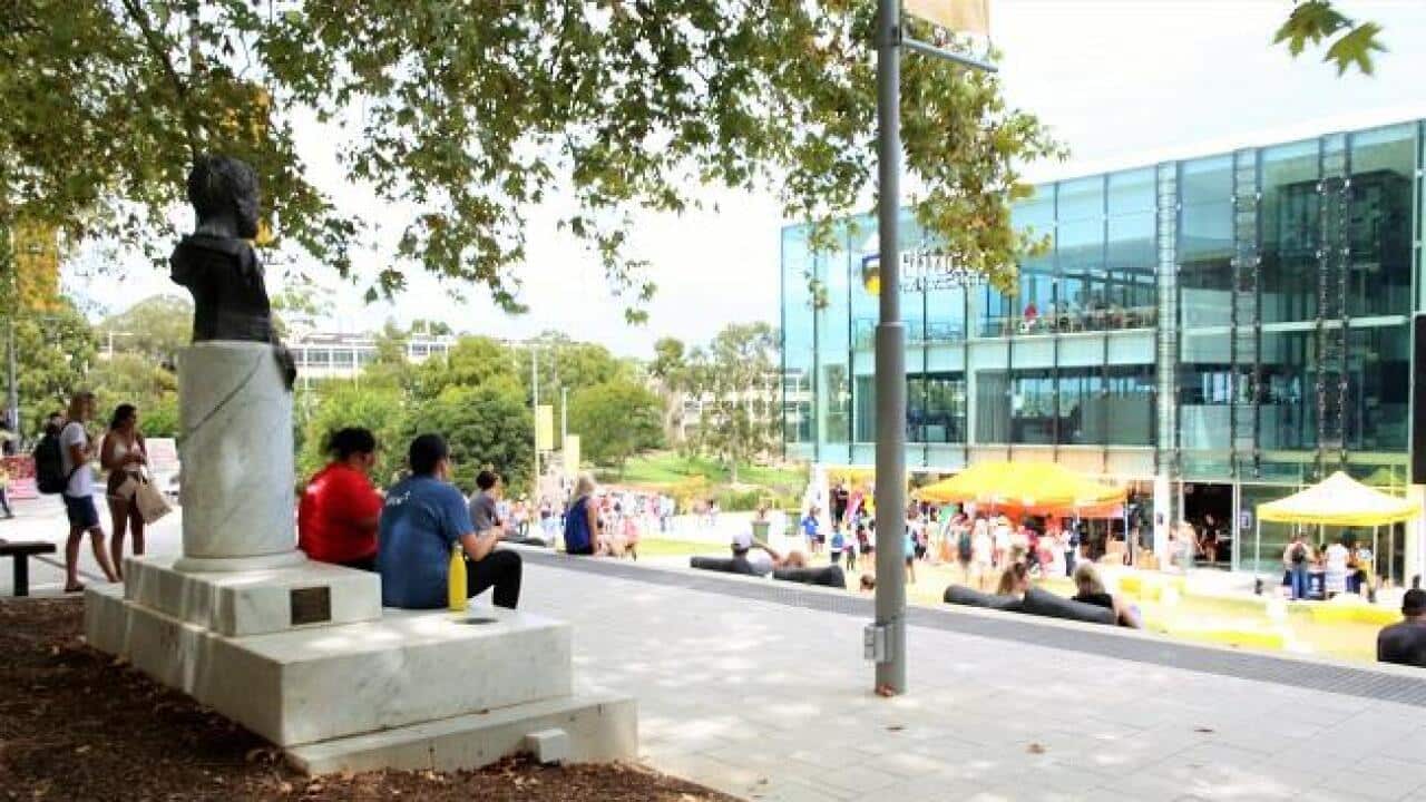 Flinders University