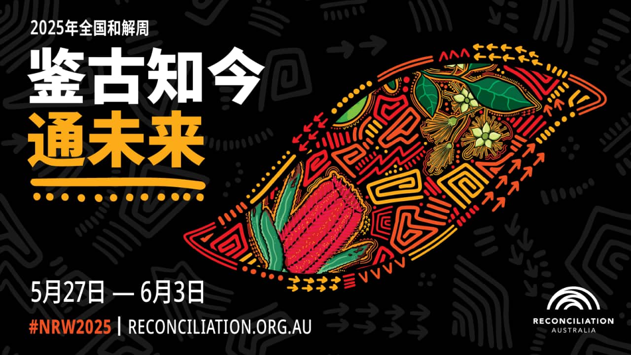 Image for read more article 'READ MORE'