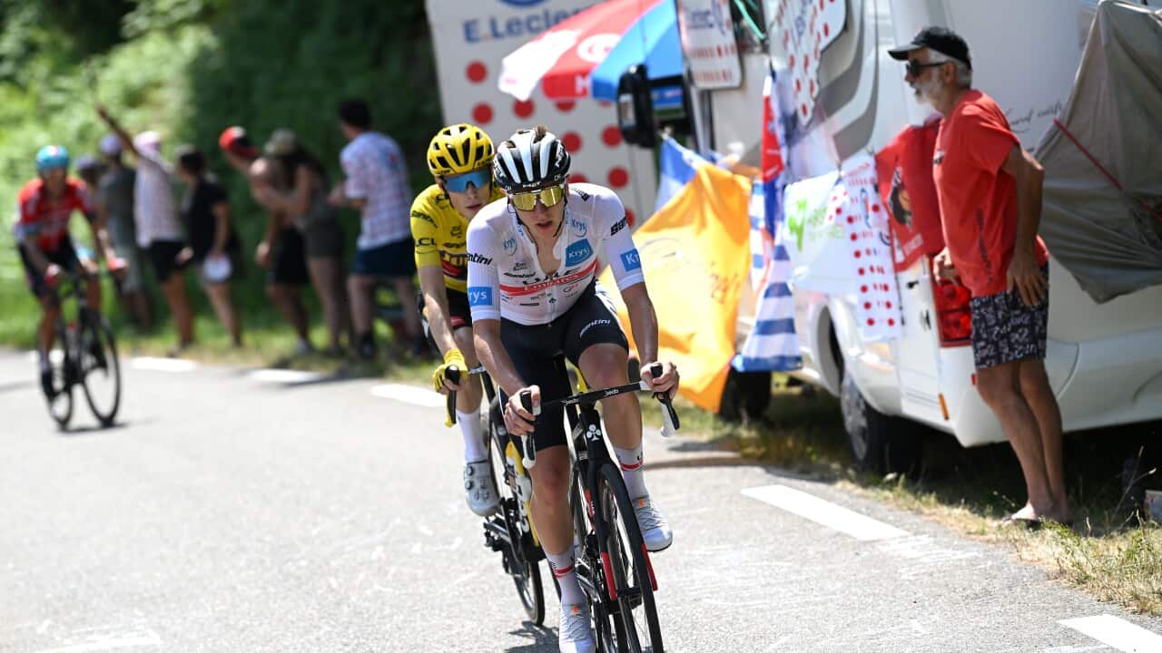 Image for read more article ''