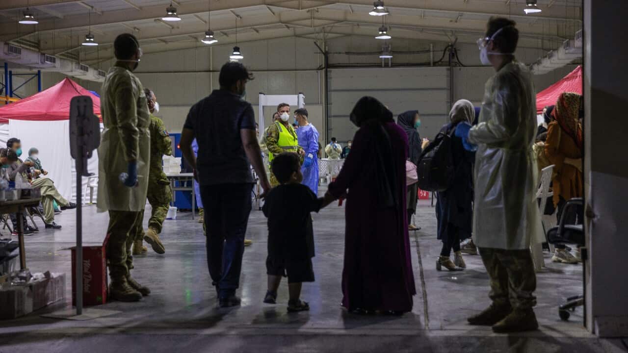 Afghans are evacuated from Kabul in August 2021 as part of an operation by the Australian Defence Force. 