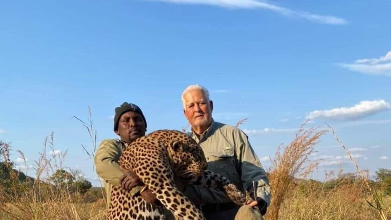 El expresidente de Panamá, Ernesto Pérez Balladares, junto a un leopardo cazad