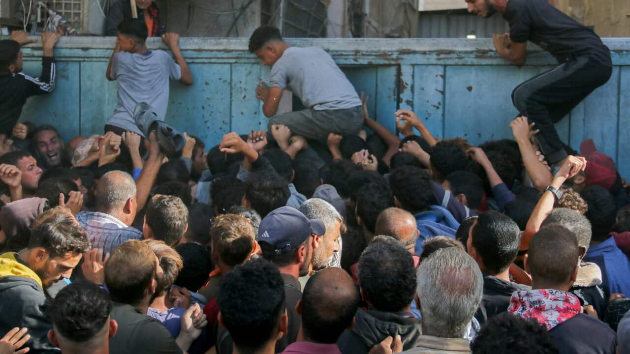 Displaced Palestinians Queue To Buy Bread - Gaza