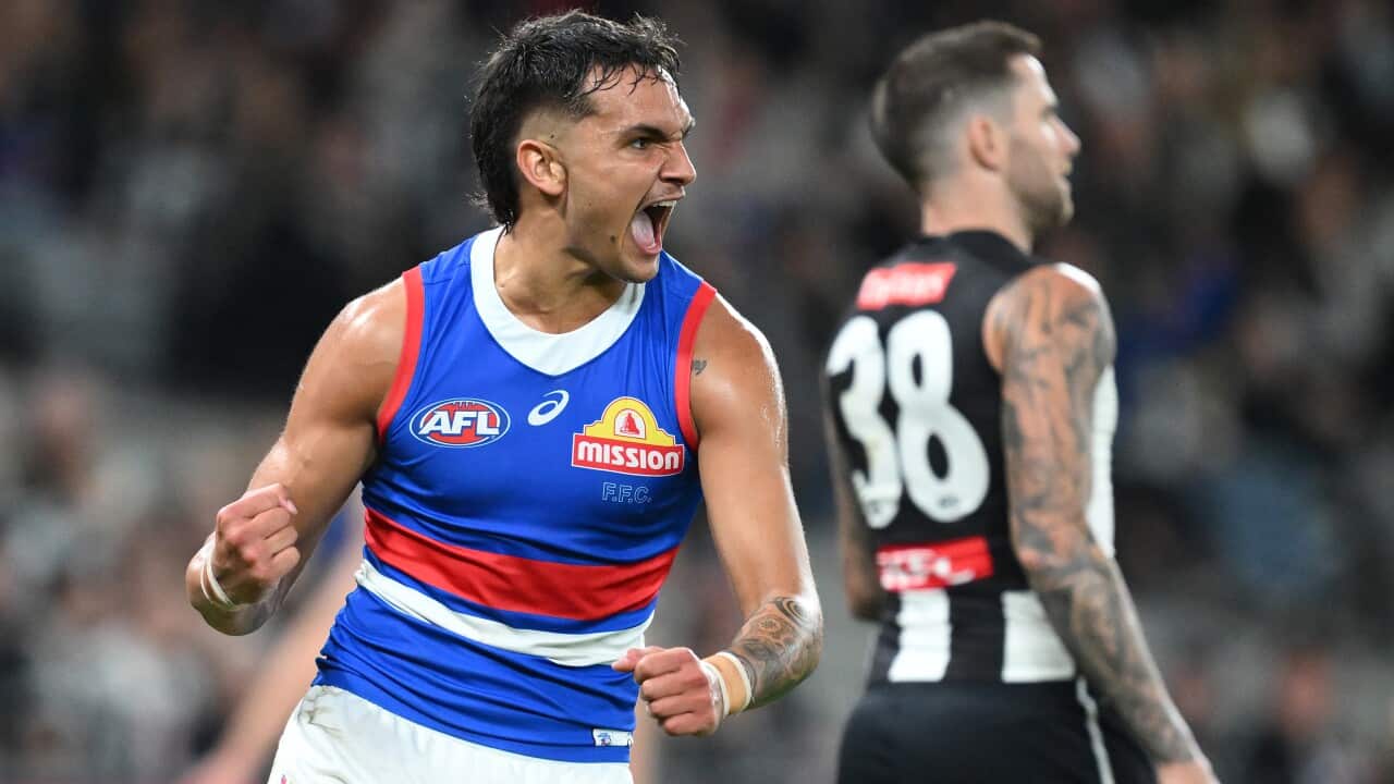 AFL MAGPIES BULLDOGS