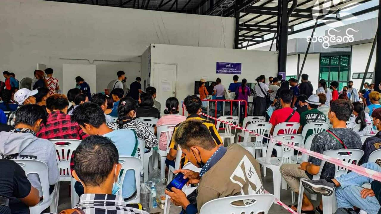 Burmese Thailand THK.jpg