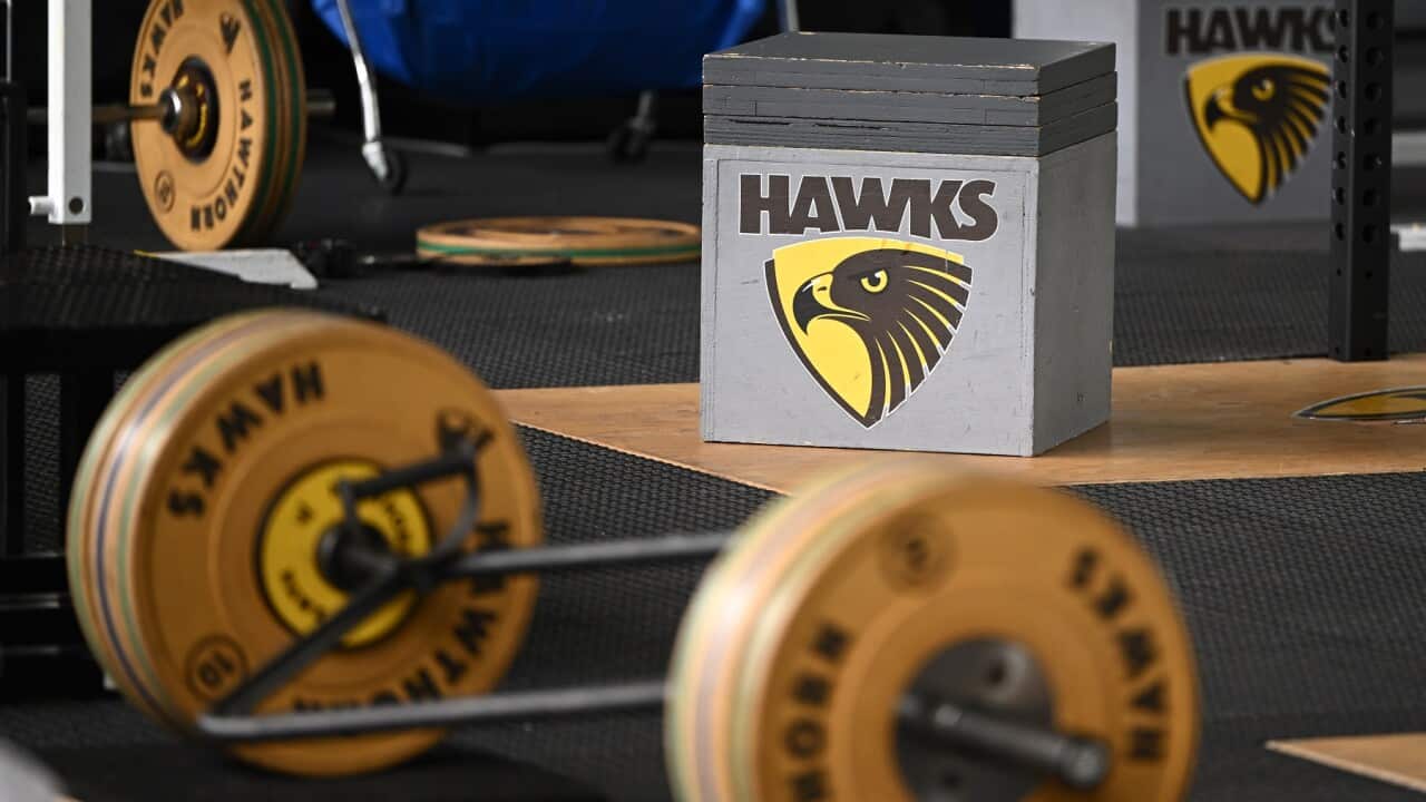 AFL HAWTHORN FOOTBALL CLUB STOCK