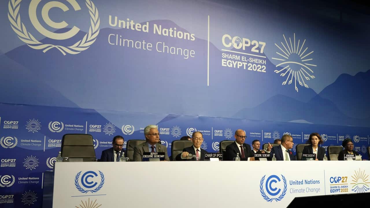 COP27 Climate Summit