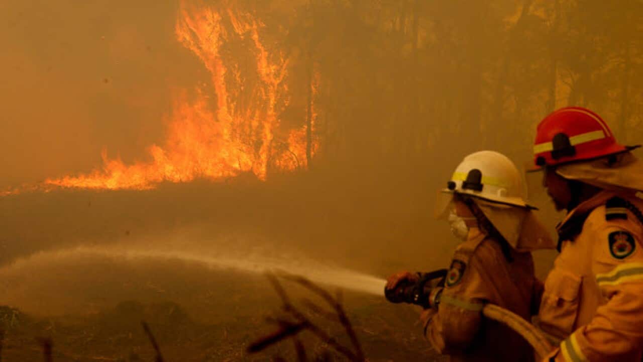 Bush Fire