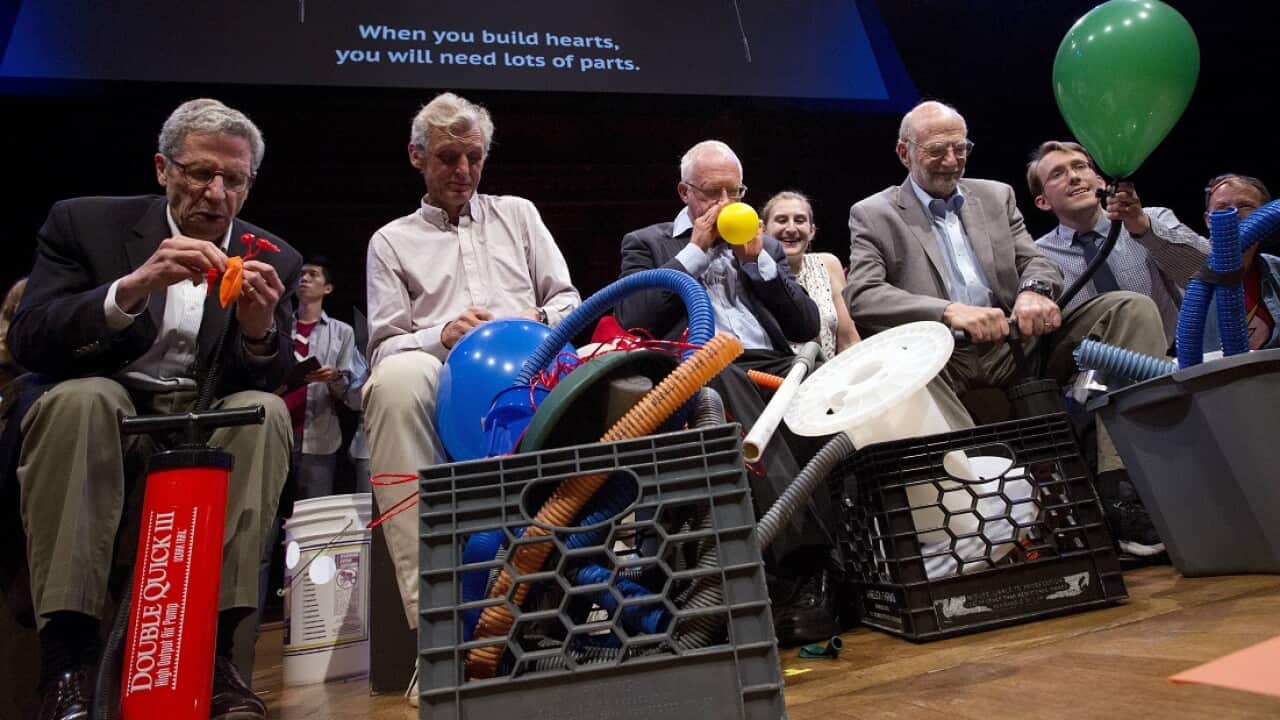 Noble laureates, from left, Eric Maskin, Wolfgang Ketterle, Oliver Hart and Michael Rosbash attempting to assemble a heart during the awards ceremony.