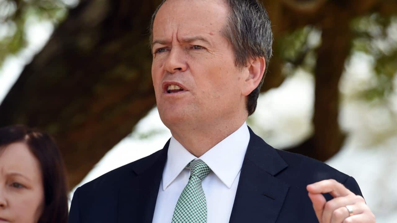 Labor leader Bill Shorten