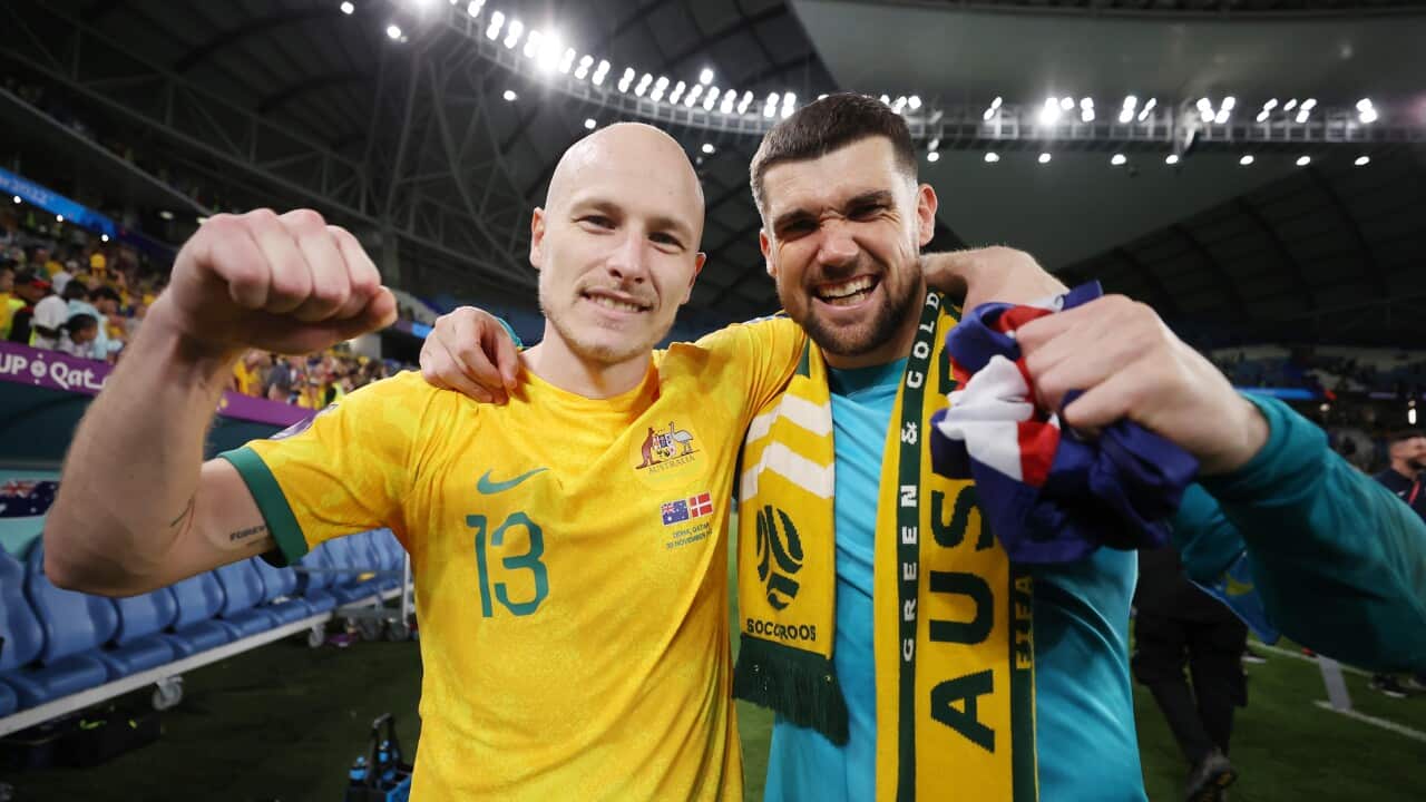 Australia v Denmark: Group D - FIFA World Cup Qatar 2022