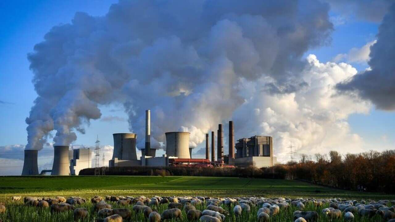 Steam rises from the brown coal-fired power plant in Bergheim.