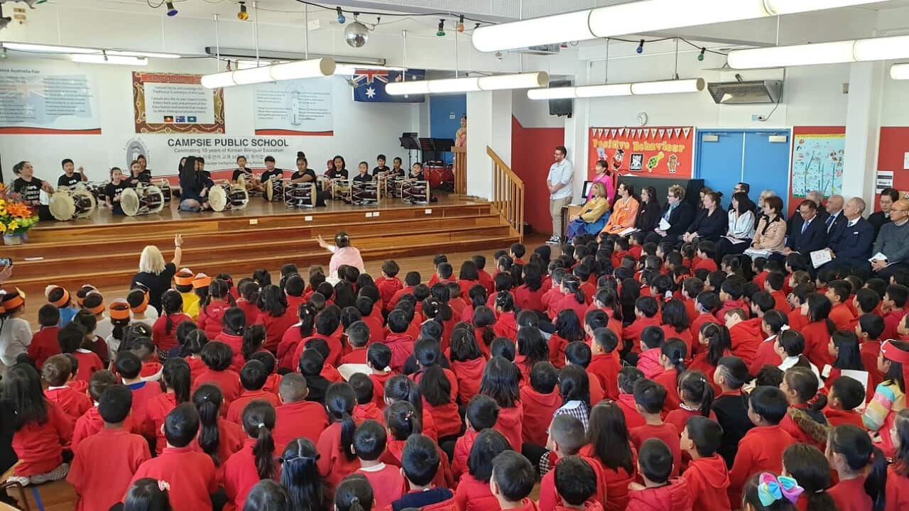 10th anniversary for the Korean bilingual program in Campsie Public School