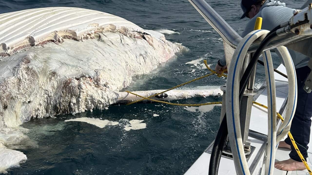 Image for read more article ''